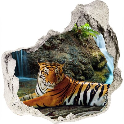 Dziura 3d fototapeta naklejka Tygrys wodospad