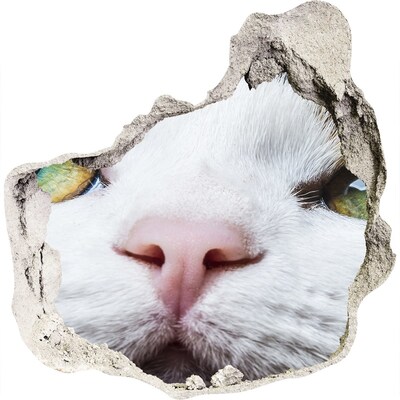 Dziura 3d fototapeta naklejka Zielone kocie oczy
