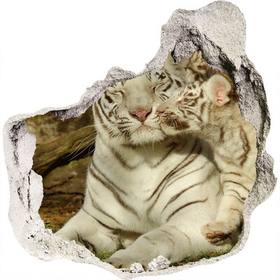 Dziura 3d fototapeta naklejka Tygrysy