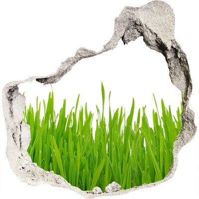 Samoprzylepna dziura naklejka beton Trawa