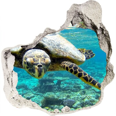 Dziura 3d fototapeta naklejka Żółw morski
