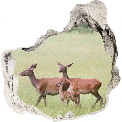 Dziura 3d fototapeta naklejka Sarny z młodymi