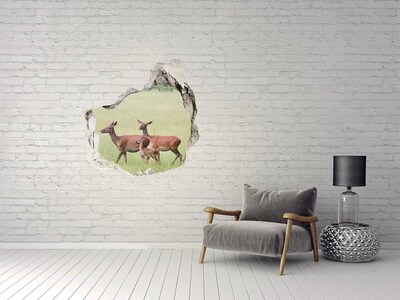 Dziura 3d fototapeta naklejka Sarny z młodymi
