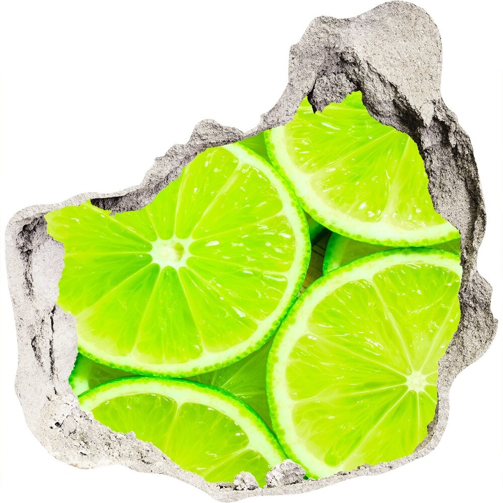 Naklejka 3D dziura na ścianę samoprzylepna Aloes