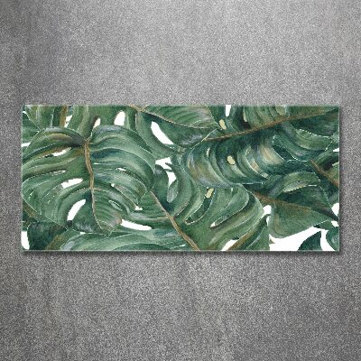 Obraz zdjęcie na ścianę akryl Monstera