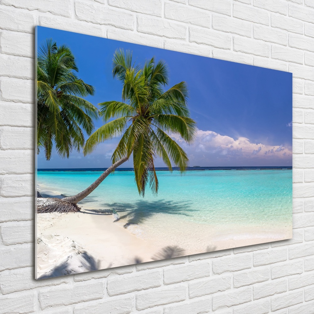 Foto obraz szkło akryl Panorama plaży