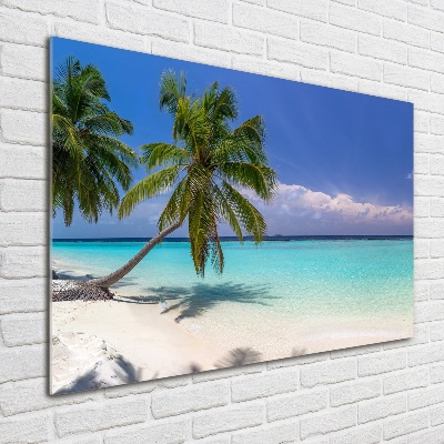 Foto obraz szkło akryl Panorama plaży