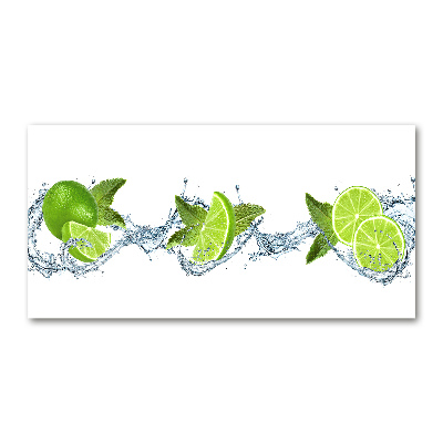 Obraz zdjęcie szkło akryl Limonka
