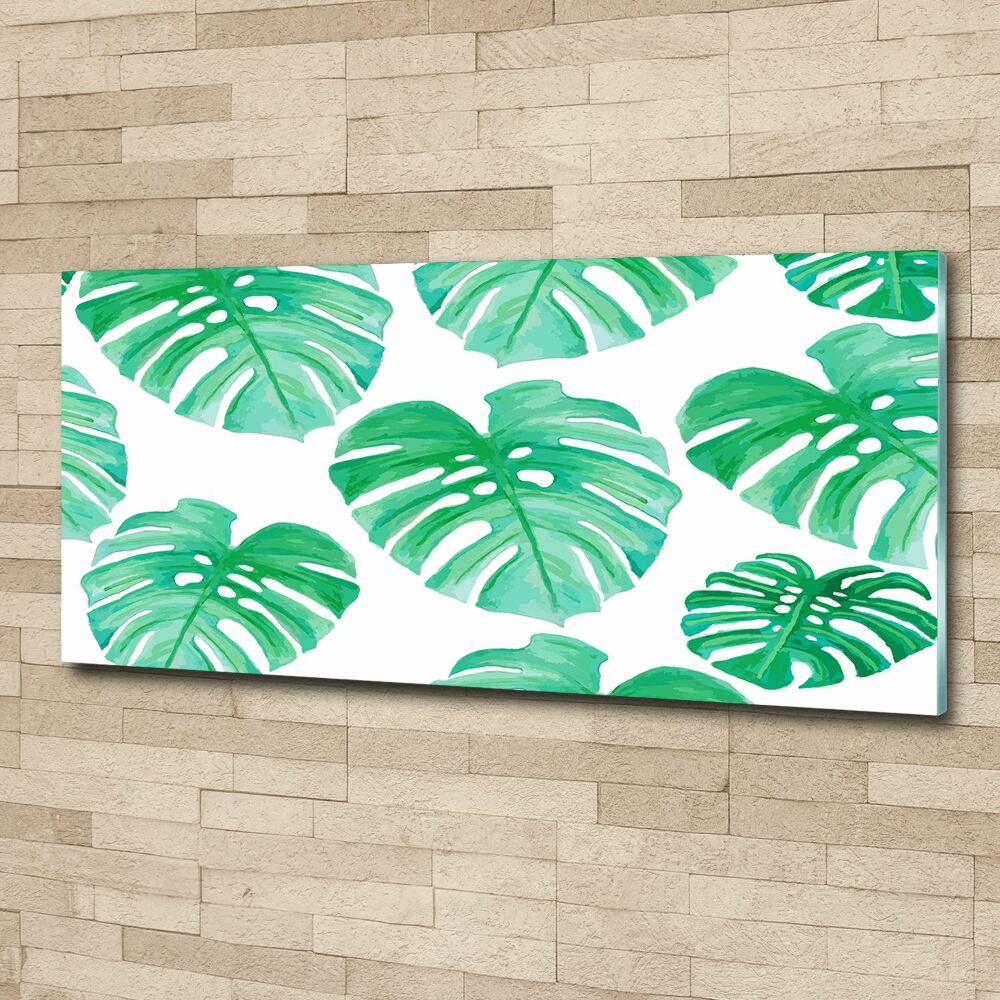 Obraz zdjęcie na ścianę akryl Monstera