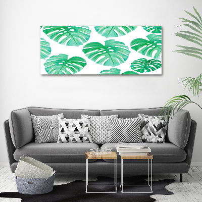 Obraz zdjęcie na ścianę akryl Monstera