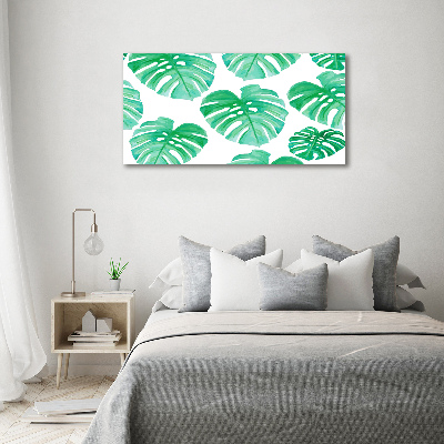 Obraz zdjęcie na ścianę akryl Monstera