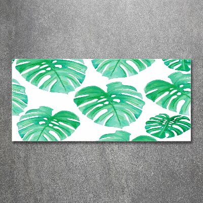 Obraz zdjęcie na ścianę akryl Monstera