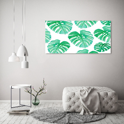Obraz zdjęcie na ścianę akryl Monstera