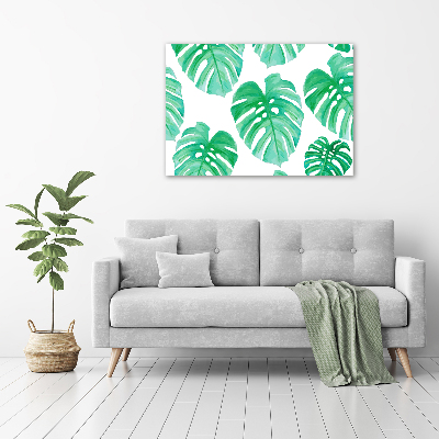 Obraz zdjęcie na ścianę akryl Monstera