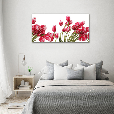 Foto obraz szkło akryl Czerwone tulipany