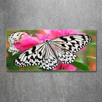 Foto-obraz szkło akryl Motyl na kwiatku