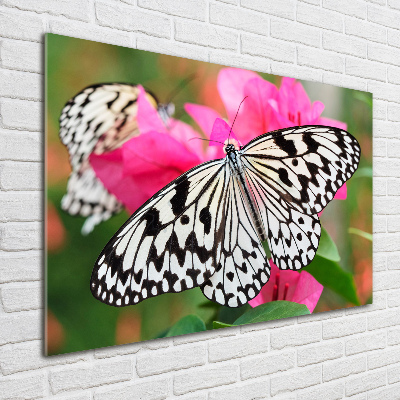 Foto-obraz szkło akryl Motyl na kwiatku