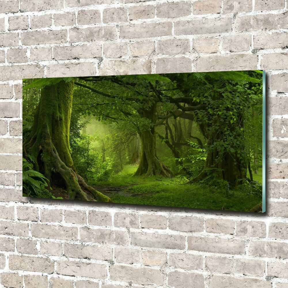 Foto obraz akryl Tropikalna dżungla