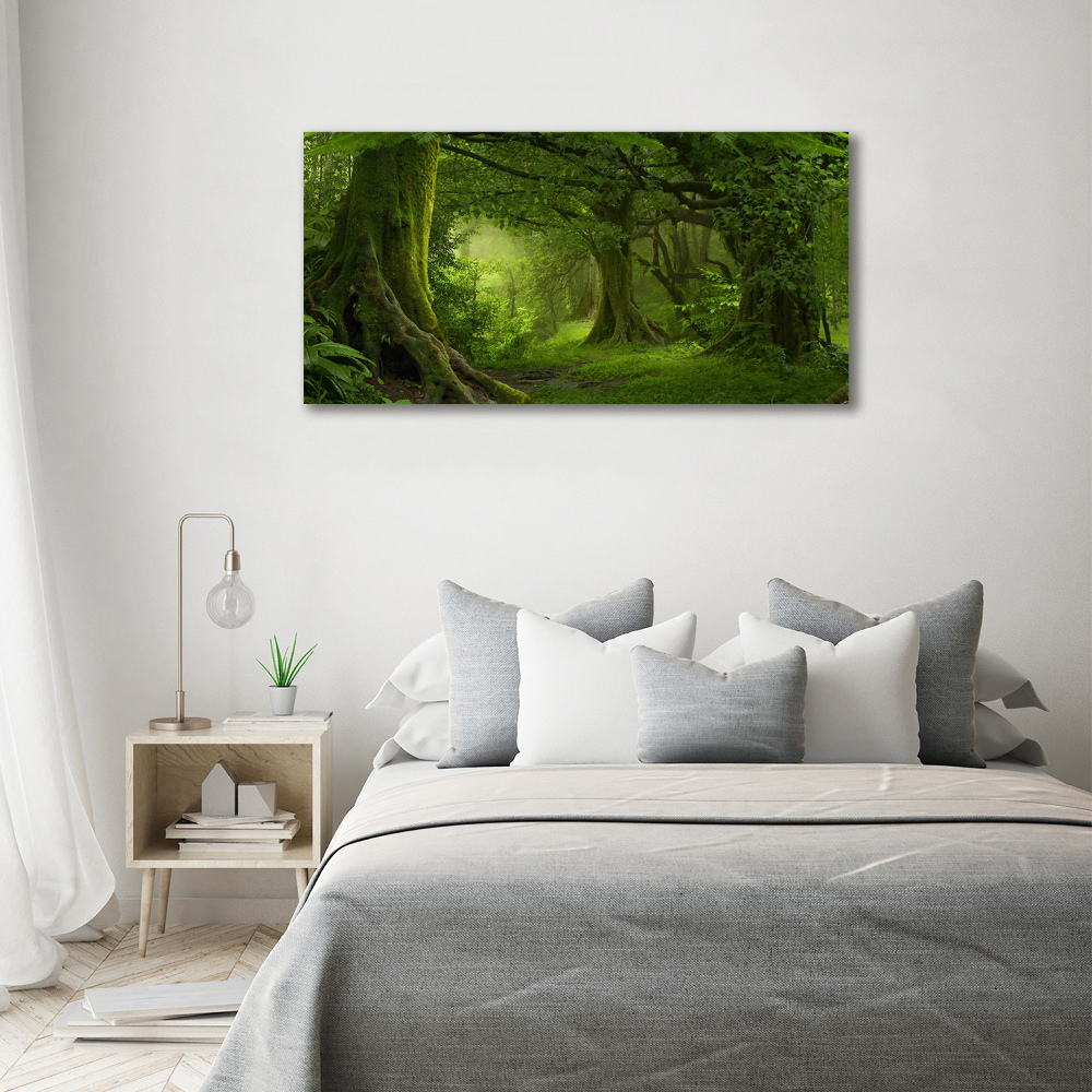 Foto obraz akryl Tropikalna dżungla