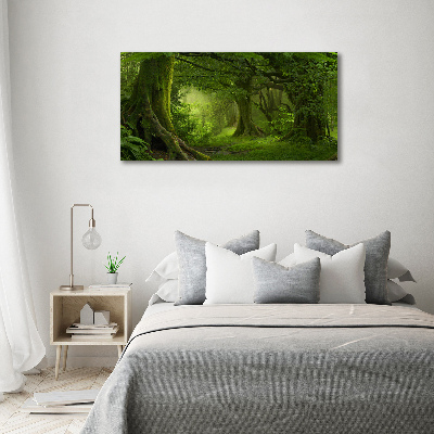 Foto obraz akryl Tropikalna dżungla