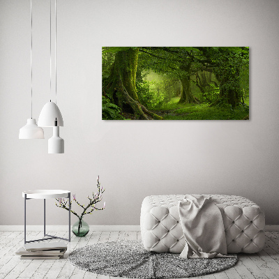 Foto obraz akryl Tropikalna dżungla