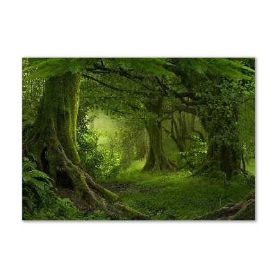 Foto obraz akryl Tropikalna dżungla
