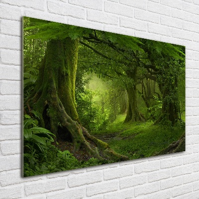 Foto obraz akryl Tropikalna dżungla