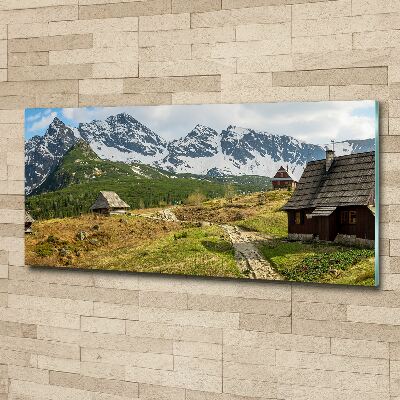 Foto obraz na ścianę akryl Hale Tatry