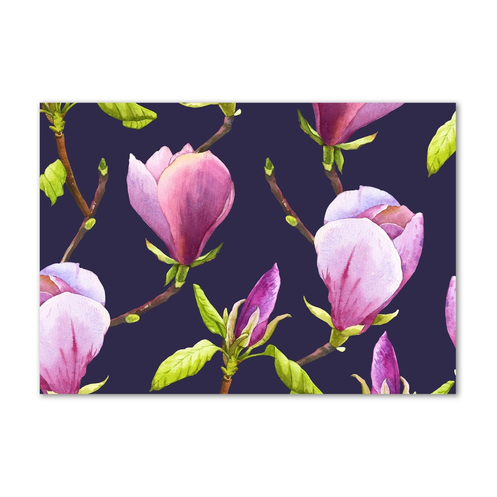 Obraz zdjęcie na ścianę akryl Magnolia