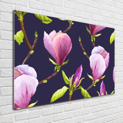 Obraz zdjęcie na ścianę akryl Magnolia