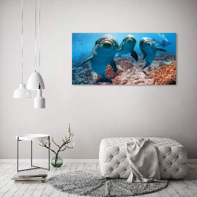 Foto obraz na scianę akrylowy Delfiny