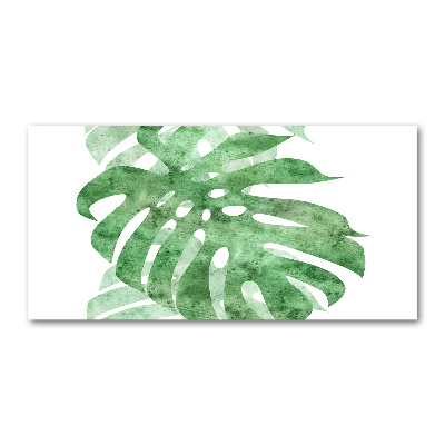 Obraz zdjęcie na ścianę akryl Monstera