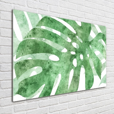 Obraz zdjęcie na ścianę akryl Monstera
