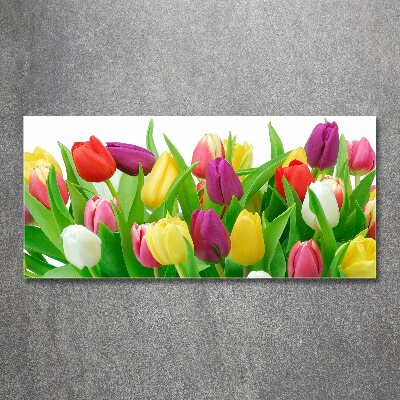 Foto obraz szkło akryl Kolorowe tulipany