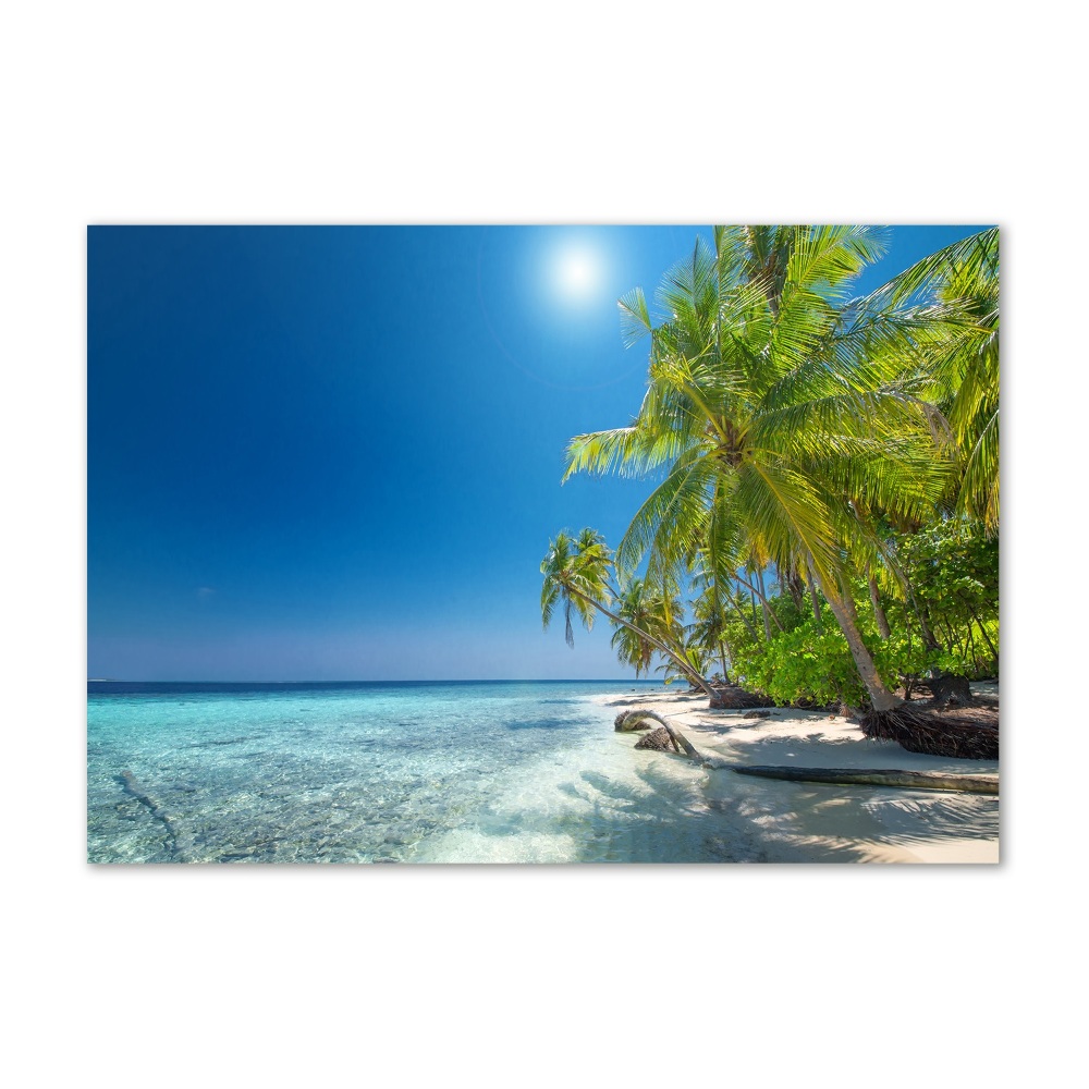 Foto obraz szkło akryl Malediwy plaża