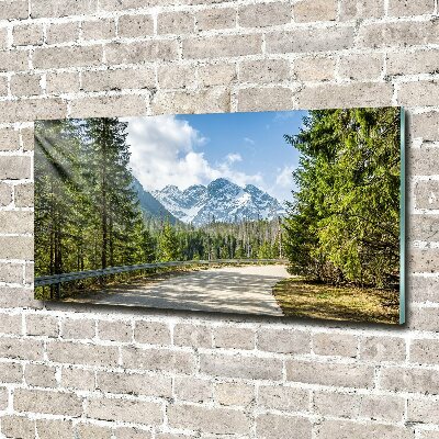 Foto obraz szkło akryl Droga Tatry