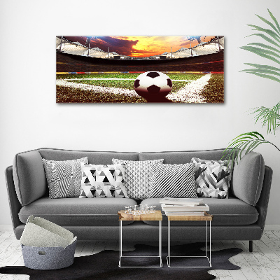 Foto obraz akryl Piłka na stadionie