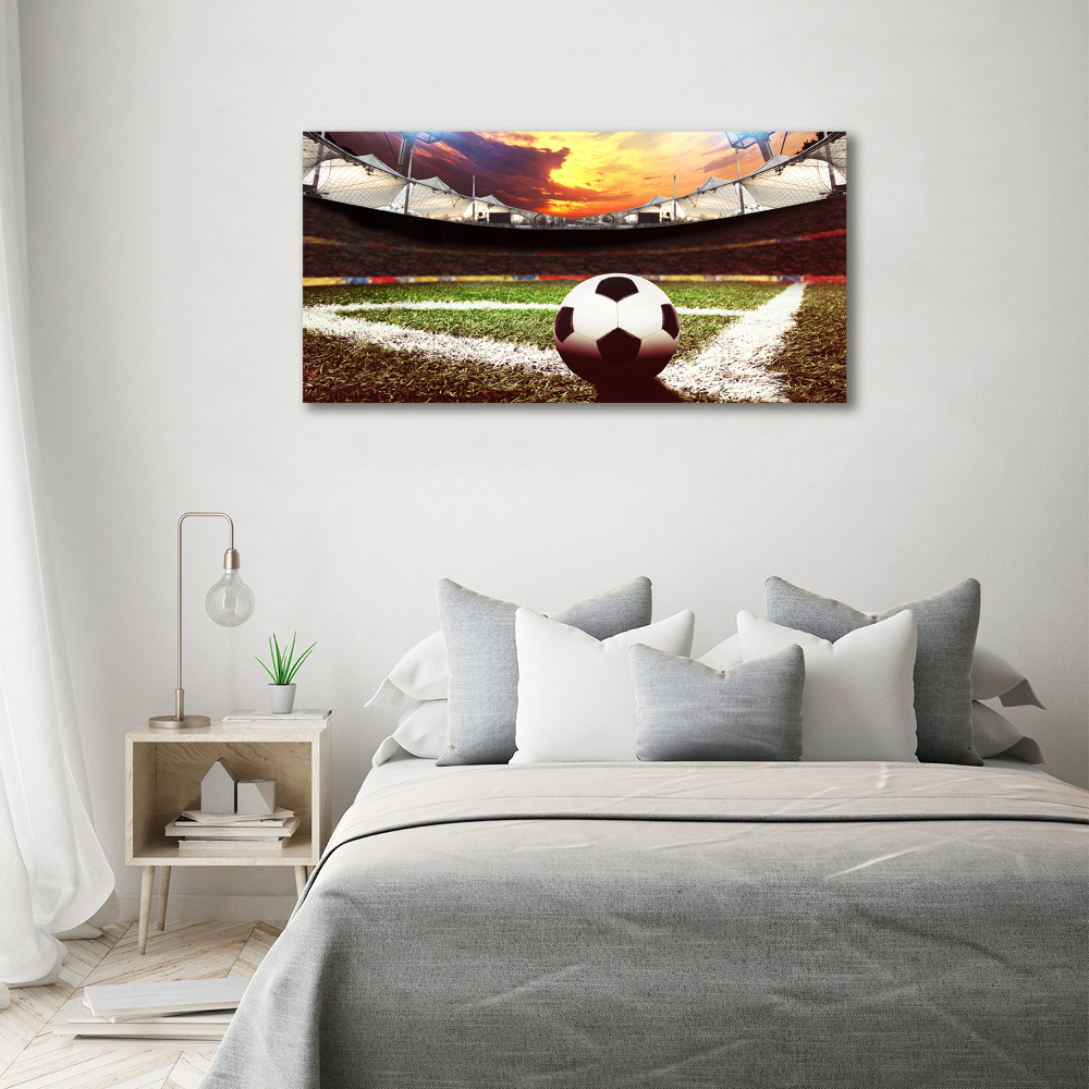 Foto obraz akryl Piłka na stadionie