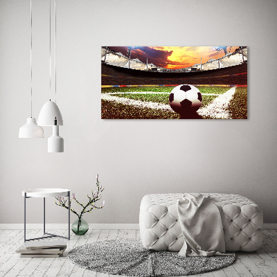 Foto obraz akryl Piłka na stadionie