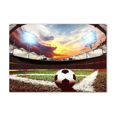 Foto obraz akryl Piłka na stadionie