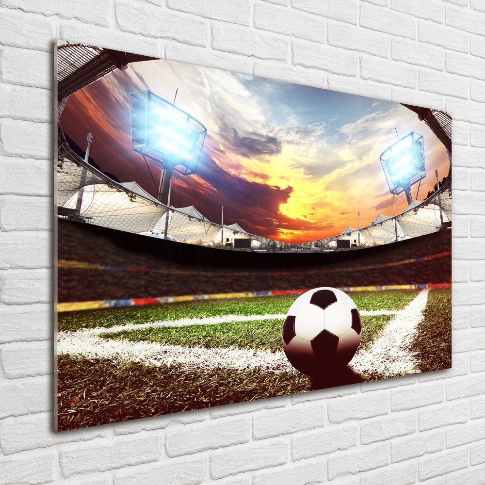 Foto obraz akryl Piłka na stadionie