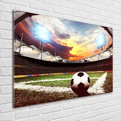 Foto obraz akryl Piłka na stadionie