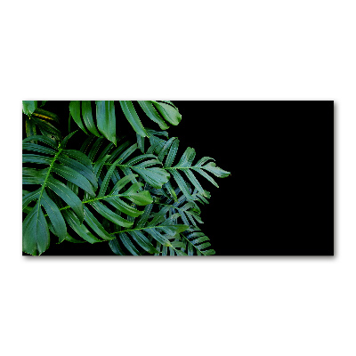 Obraz zdjęcie na ścianę akryl Monstera