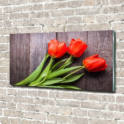 Foto obraz szkło akryl Czerwone tulipany
