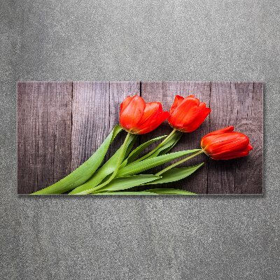 Foto obraz szkło akryl Czerwone tulipany