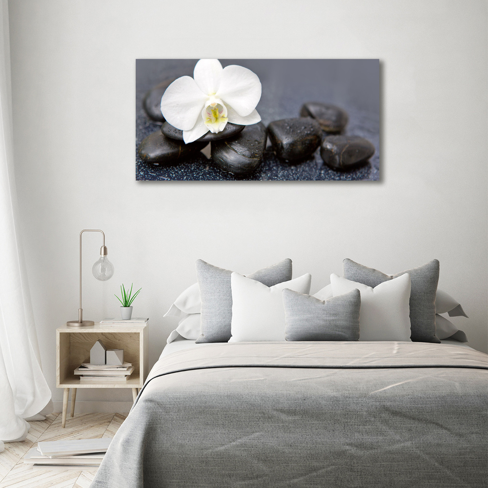 Obraz zdjęcie na ścianę akryl Orchidea
