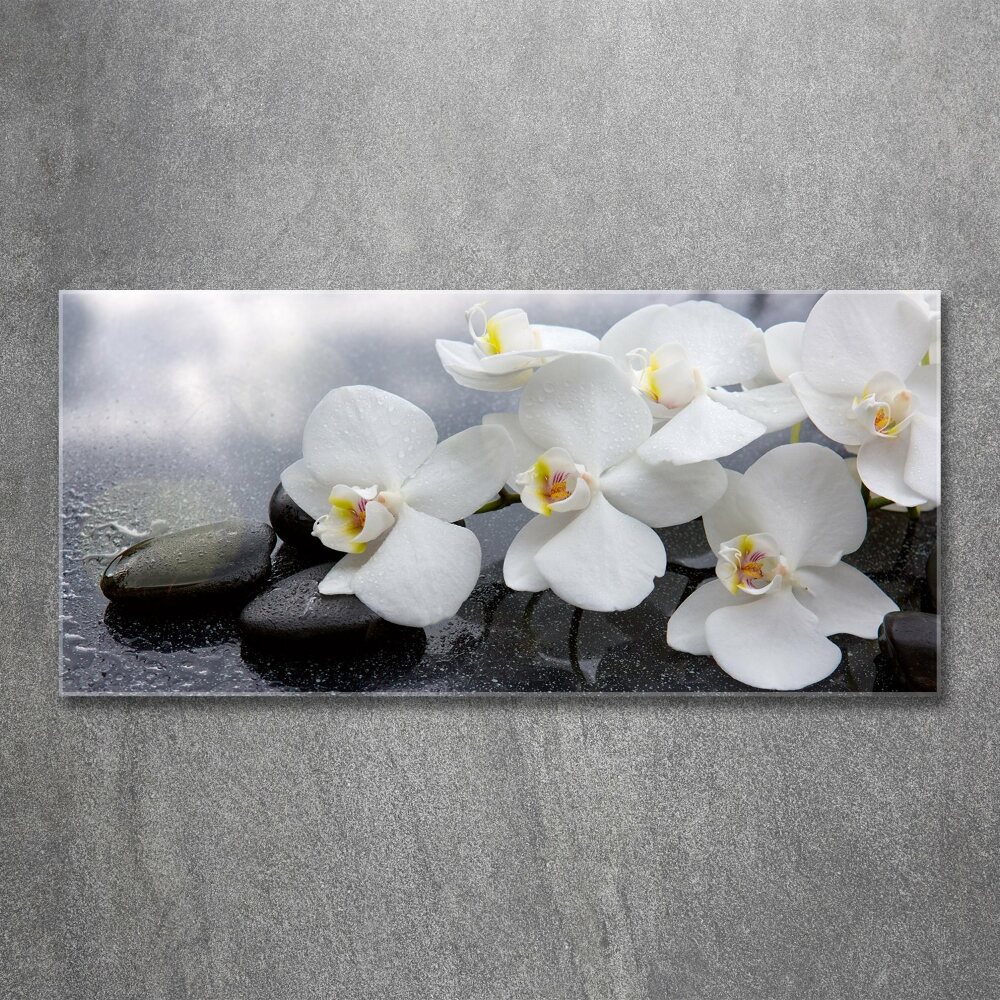 Obraz zdjęcie na ścianę akryl Orchidea