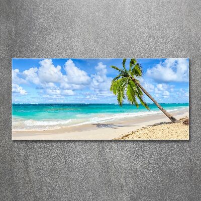 Foto obraz szkło akryl Tropikalna plaża