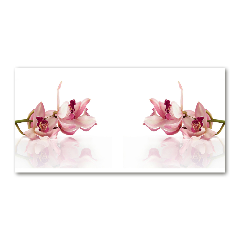 Obraz zdjęcie na ścianę akryl Orchidea