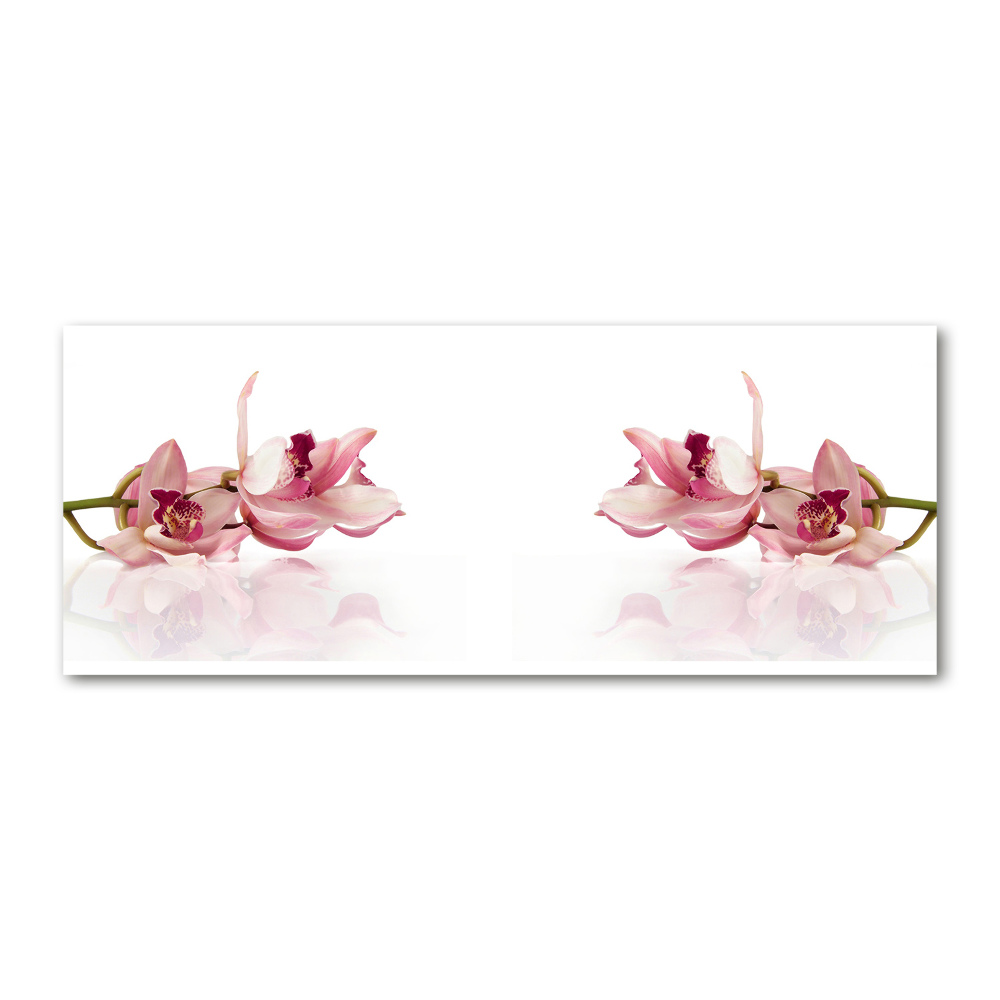 Obraz zdjęcie na ścianę akryl Orchidea
